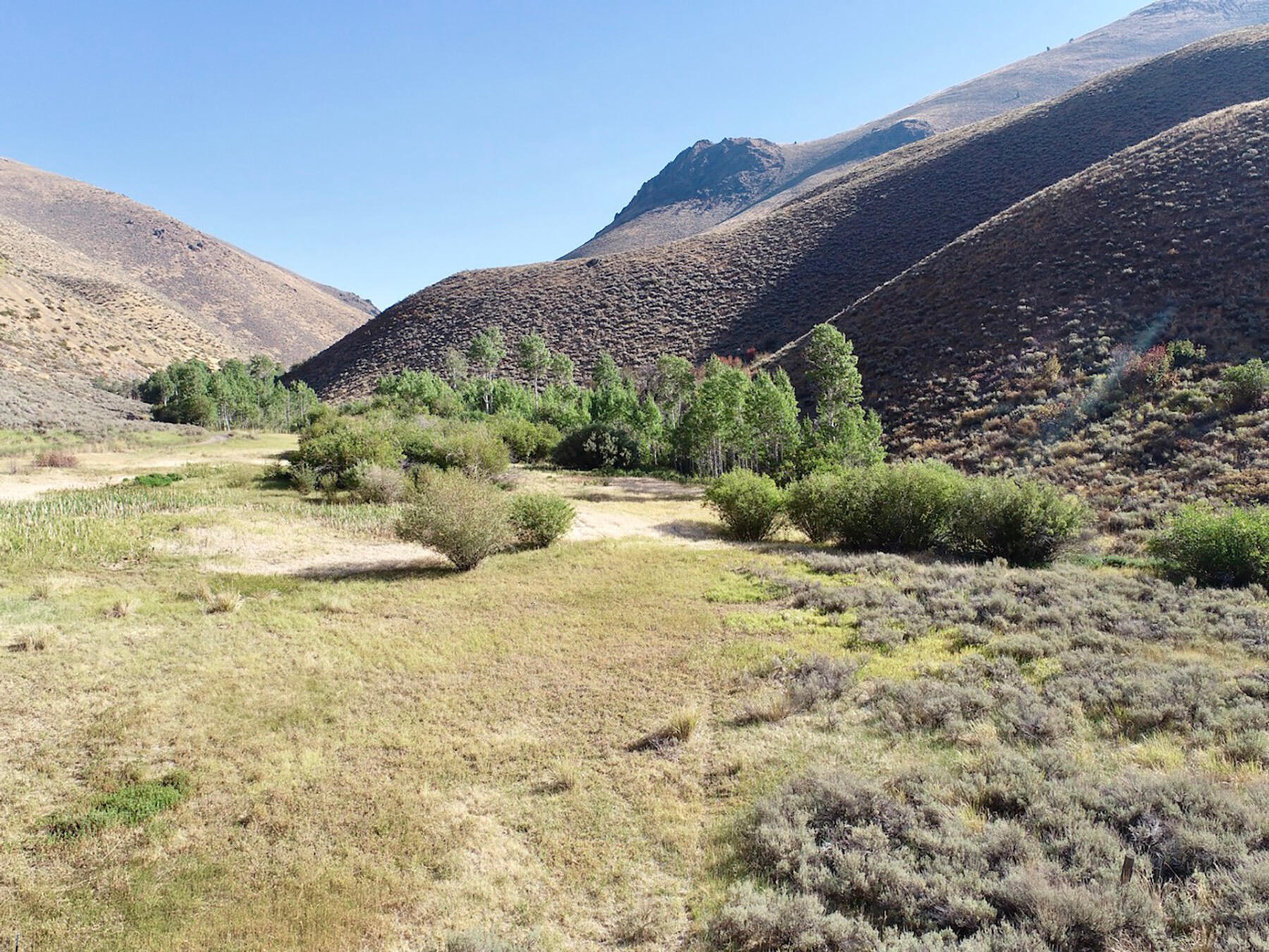Tbd Slaughterhouse Creek Road Bellevue, ID 83313 - Photo 38 of 56 038-spirit-woman