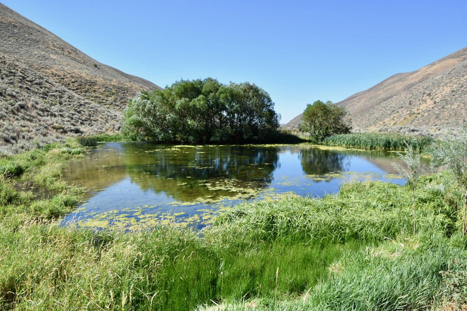 Tbd Slaughterhouse Creek Road Bellevue, ID 83313 - Photo 42 of 56 042-spirit-woman