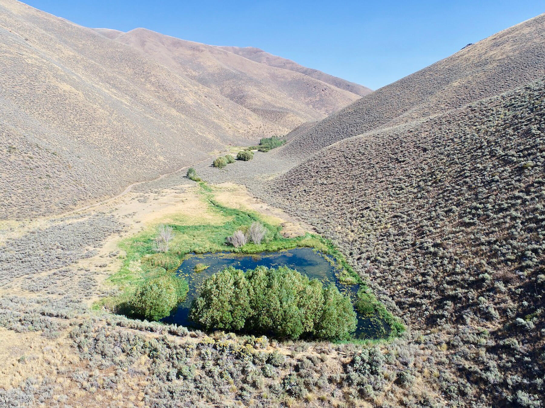 Tbd Slaughterhouse Creek Road Bellevue, ID 83313 - Photo 50 of 56 050-spirit-woman