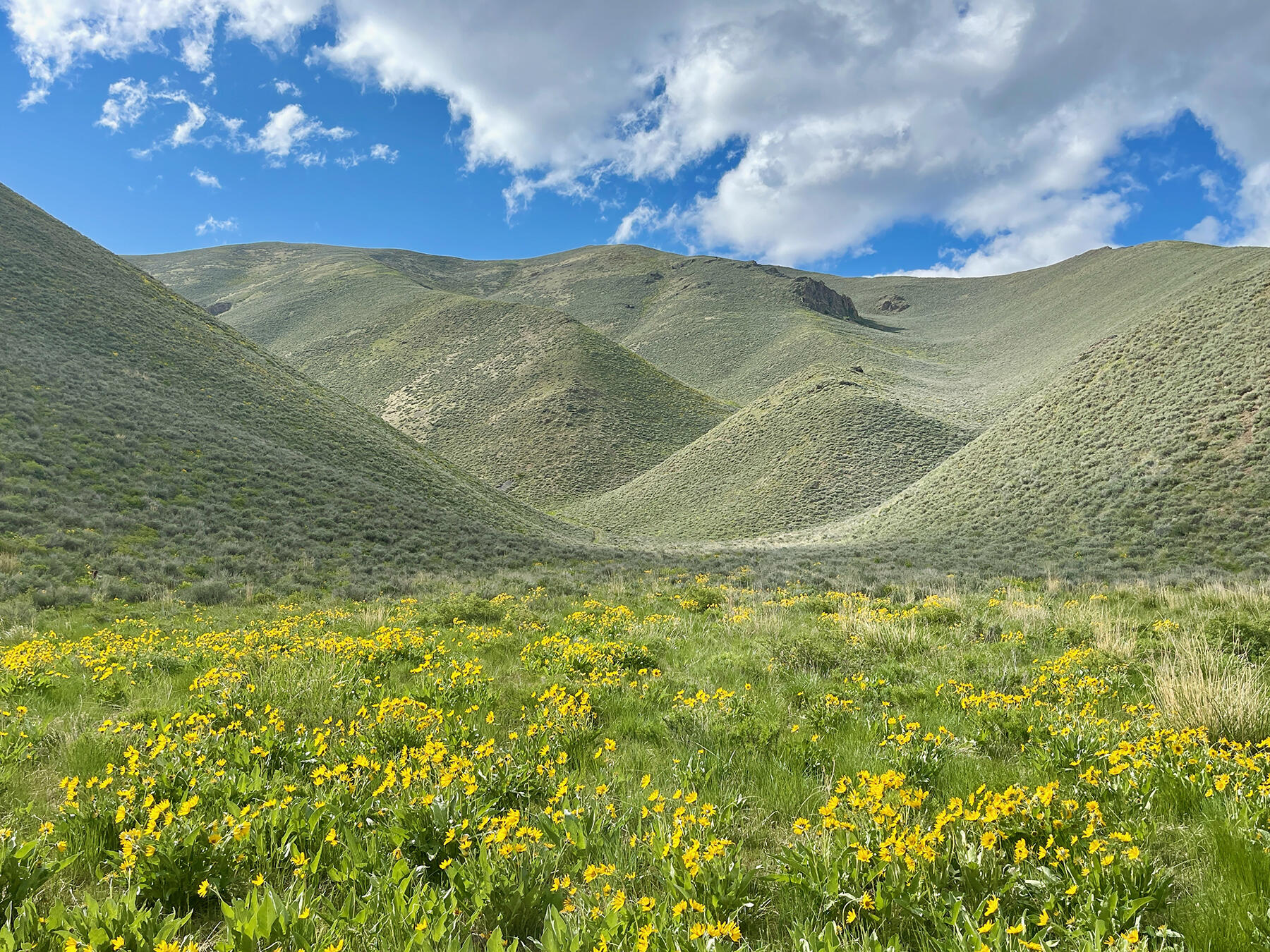 Tbd Slaughterhouse Creek Road Bellevue, ID 83313 - Photo 9 of 56 009-spirit-woman