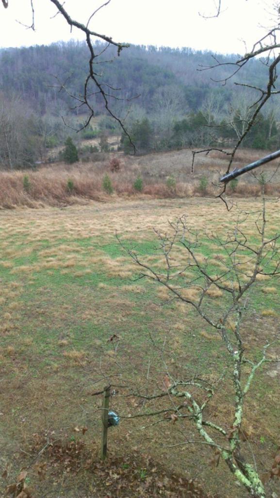 1285 Bullock Cemetery Road Somerset, KY 42503 - Photo 2 of 9 Additional Photo