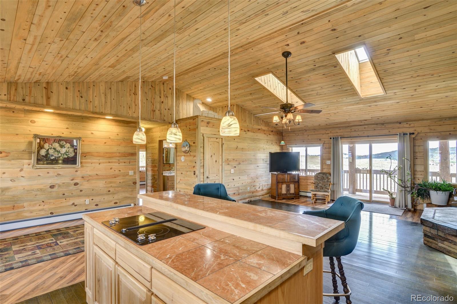 1143 Wagon Wheel Road Hartsel, CO 80449 - Photo 19 of 40 Gallery Image 19