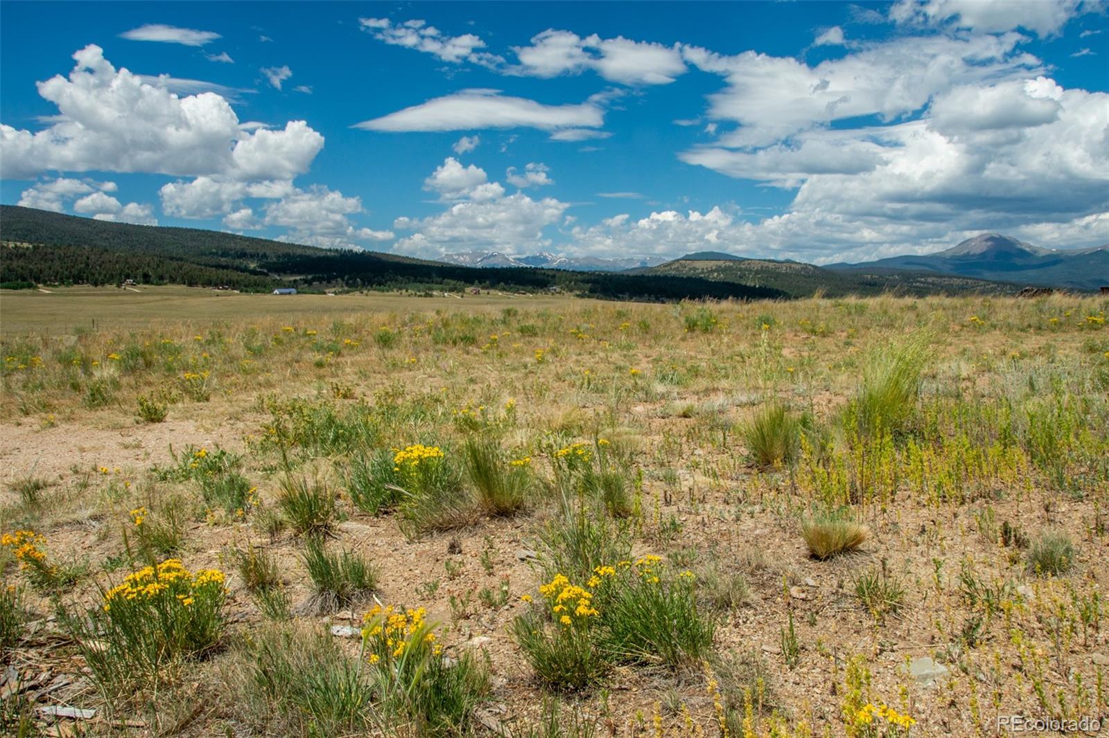 1143 Wagon Wheel Road Hartsel, CO 80449 - Photo 10 of 40 Gallery Image 10