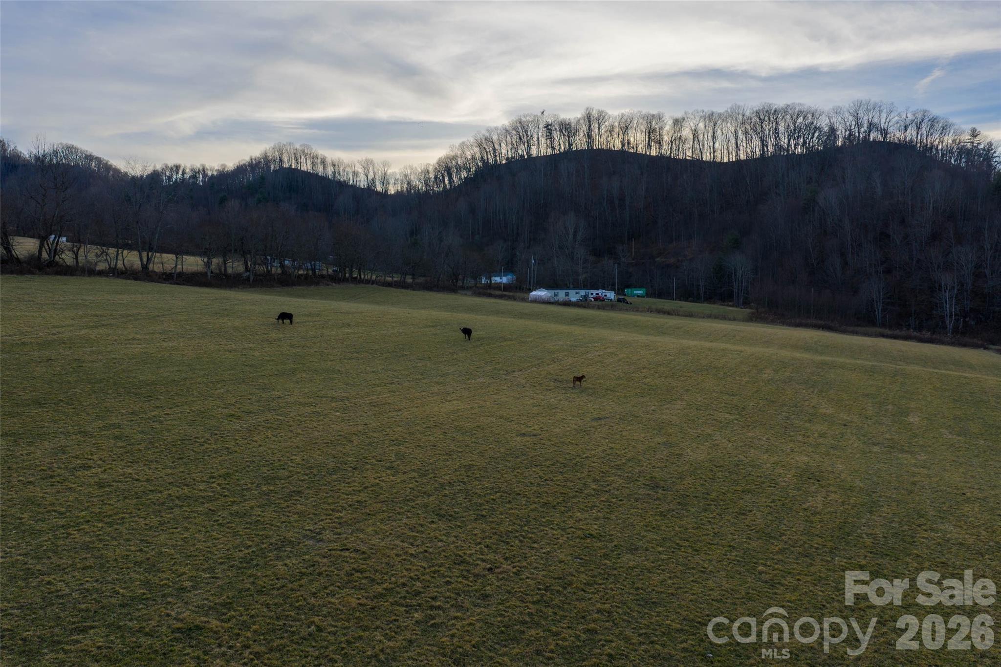 0 Poplar Cove Road Clyde, NC 28721 - Photo 6 of 16 a view of a lake