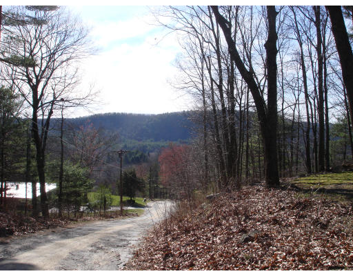 13 Hunter Hill Road Monson, MA 01057 - Photo 2 of 16 a view of a backyard with large trees