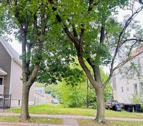 a front view of a house with a yard and large tree