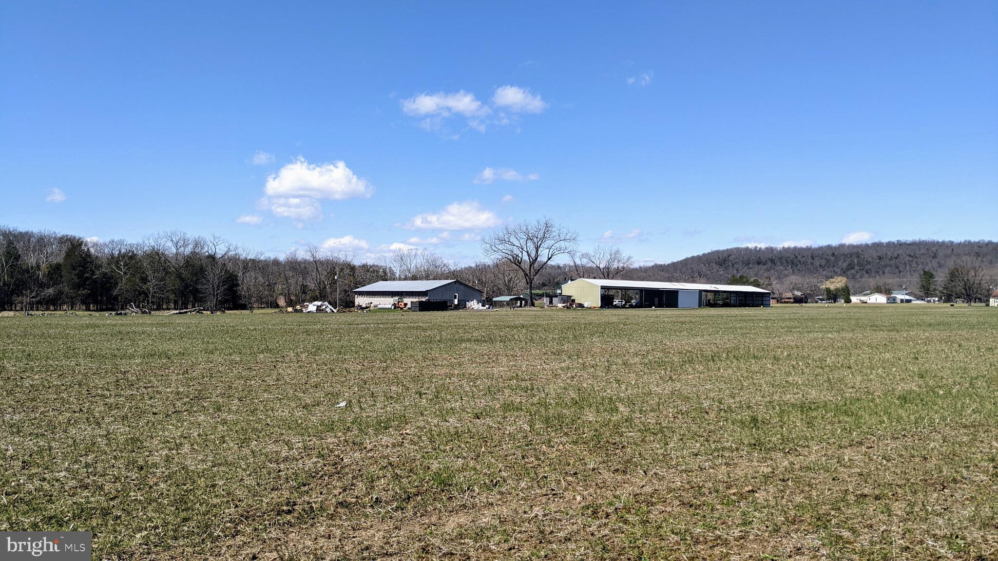 20210 Mt Pony Road Culpeper, VA 22701 - Photo 29 of 35 East field looking towards barns