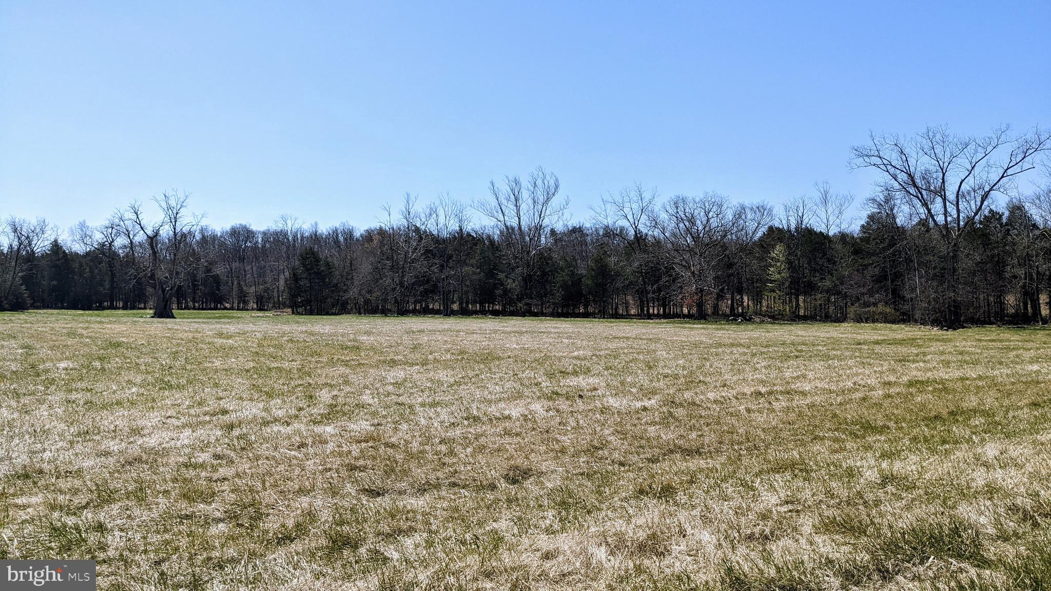 20210 Mt Pony Road Culpeper, VA 22701 - Photo 3 of 35 Looking West