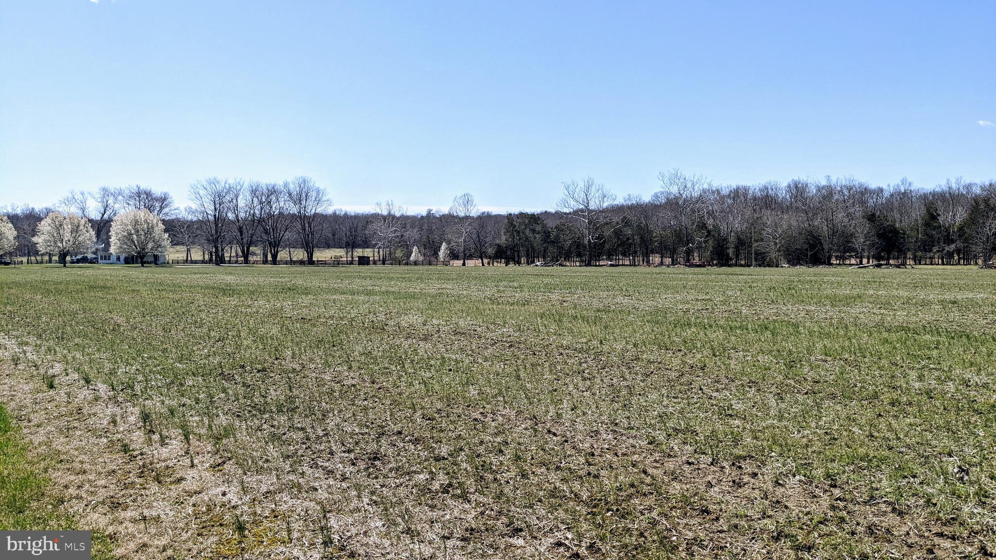 20210 Mt Pony Road Culpeper, VA 22701 - Photo 33 of 35 East field