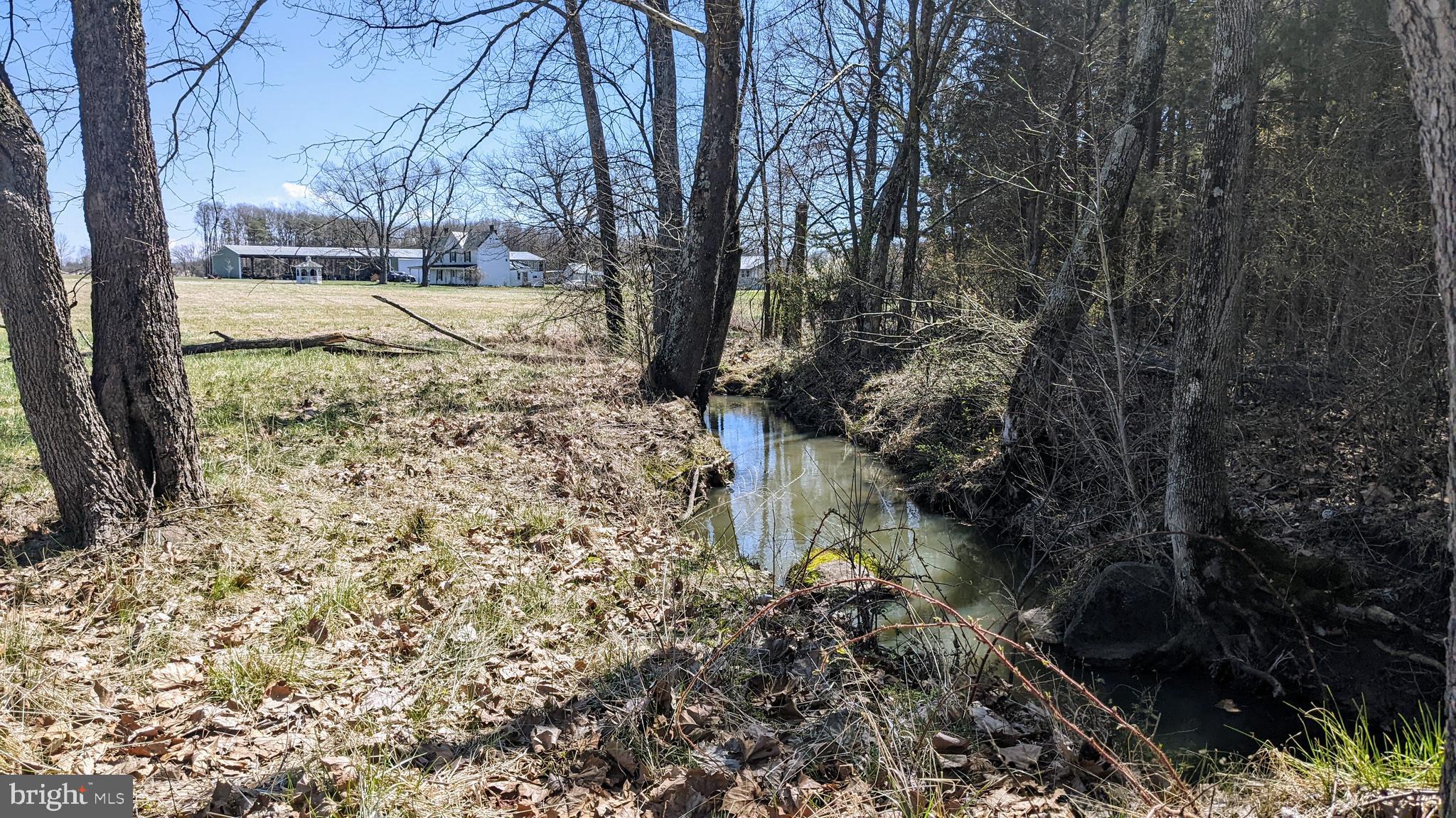 20210 Mt Pony Road Culpeper, VA 22701 - Photo 6 of 35 Potato Run