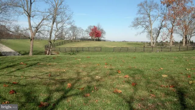 a view of a field with large trees