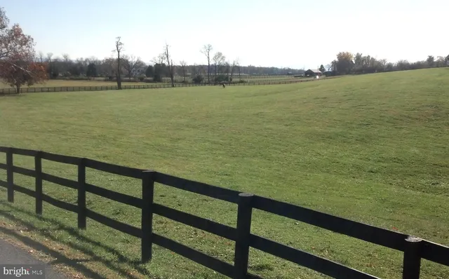 a view of a lake with a yard and large trees