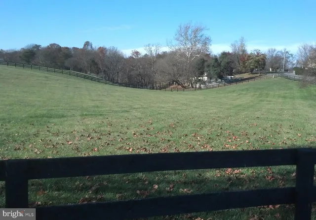 a view of a lake from a yard