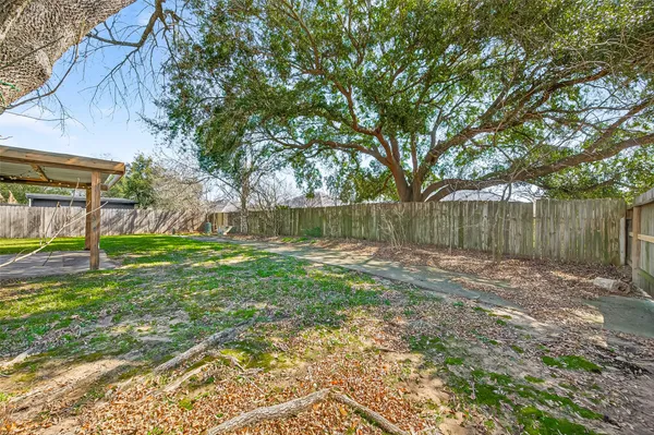 a view of a backyard with tree s