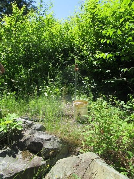 24 Reed Road Wellington, ME 04942 - Photo 11 of 18 Photo