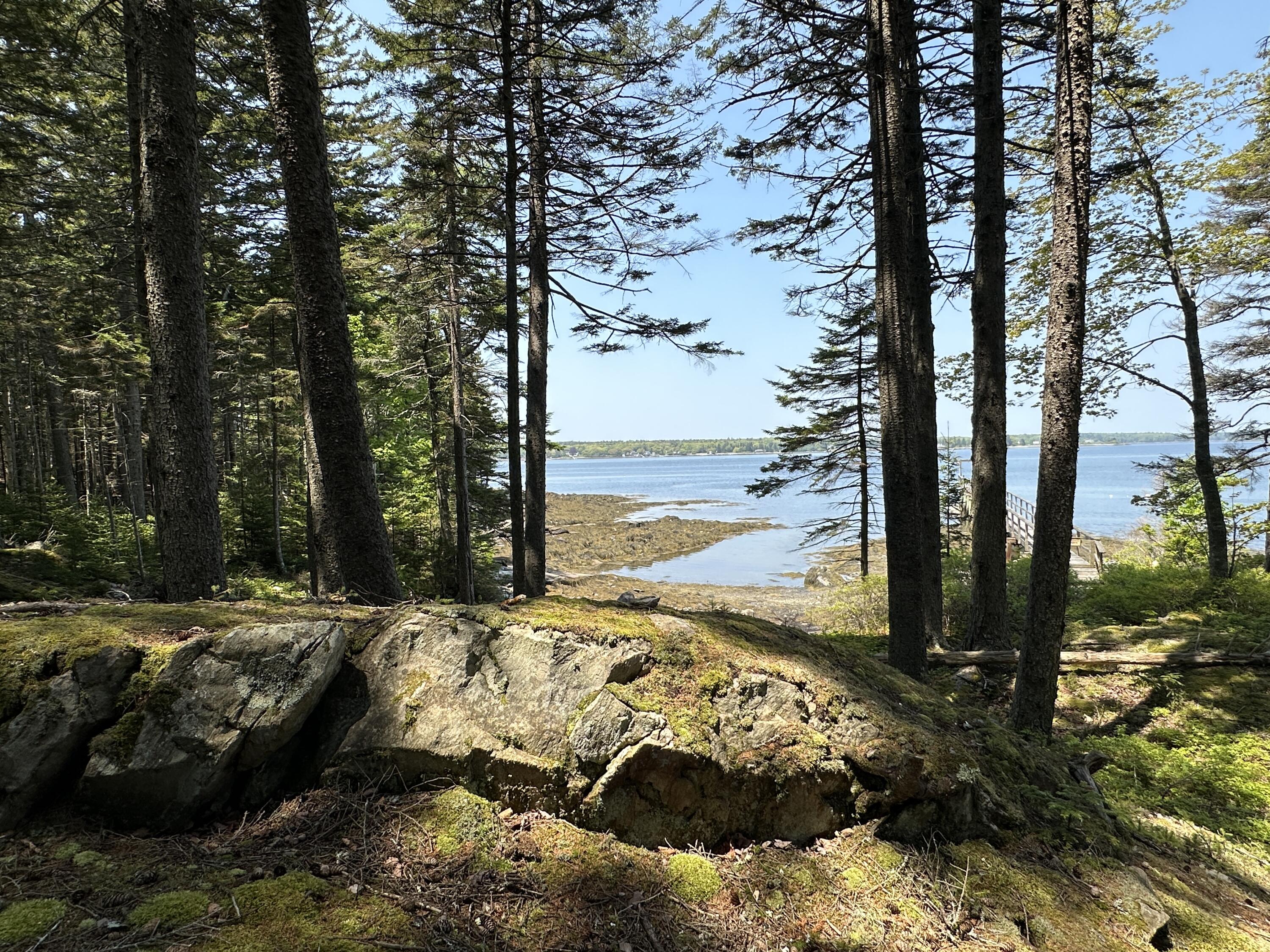 Lot 5 Waymouth Road Tenants Harbor, ME 04860 - Photo 7 of 56 Path to Shore