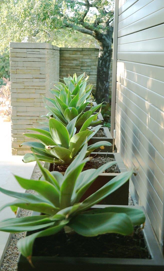 12950 Robleda Road Los Altos Hills, CA 94022 - Photo 28 of 39 a green field with some trees in front of it