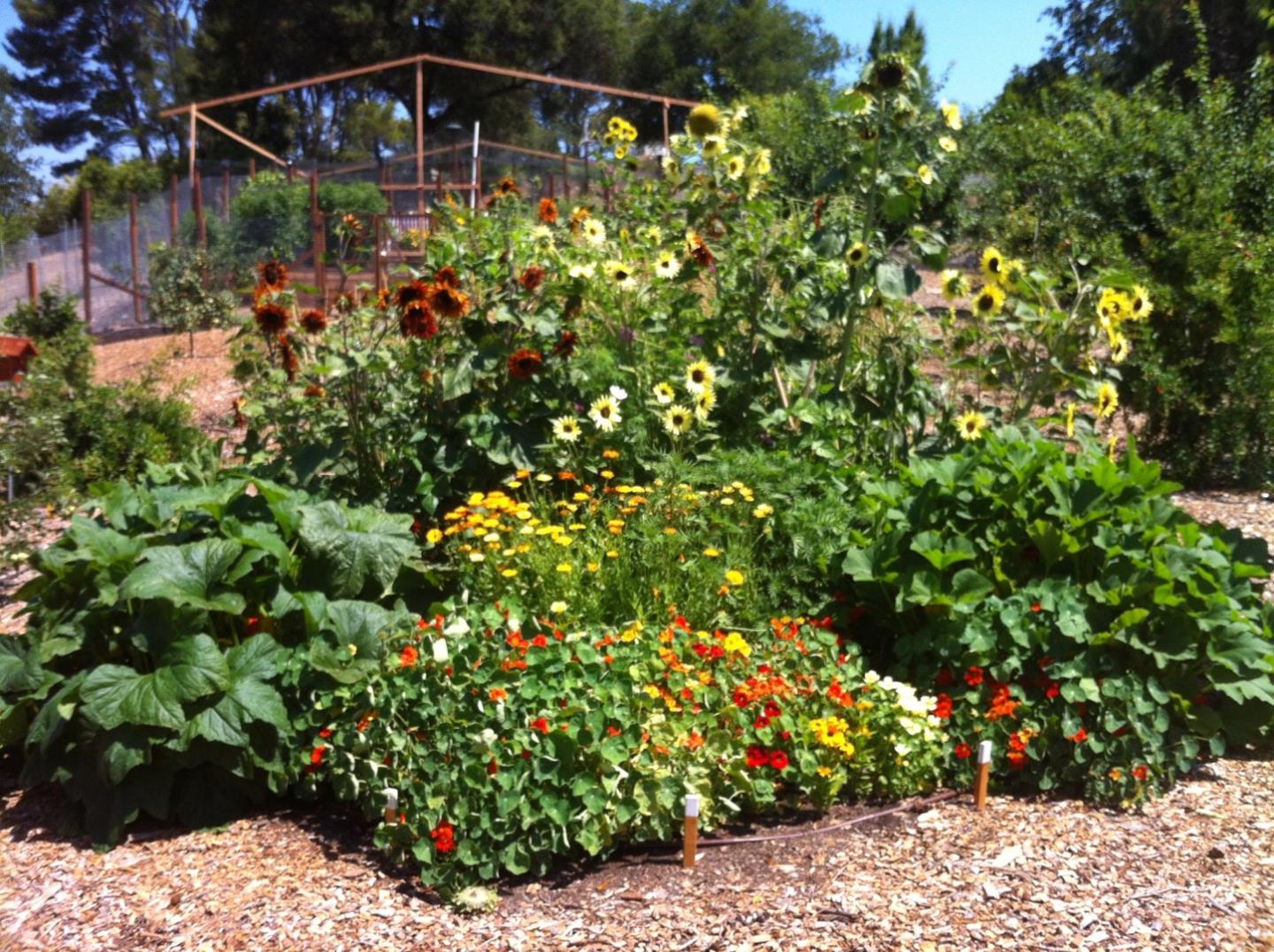 12950 Robleda Road Los Altos Hills, CA 94022 - Photo 31 of 39 a front view of a house with a flower garden