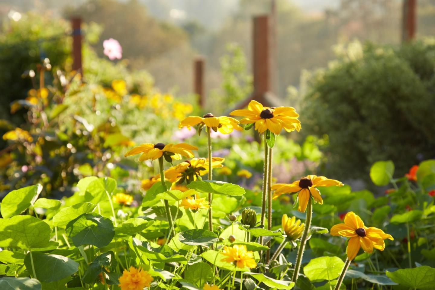 12950 Robleda Road Los Altos Hills, CA 94022 - Photo 36 of 39