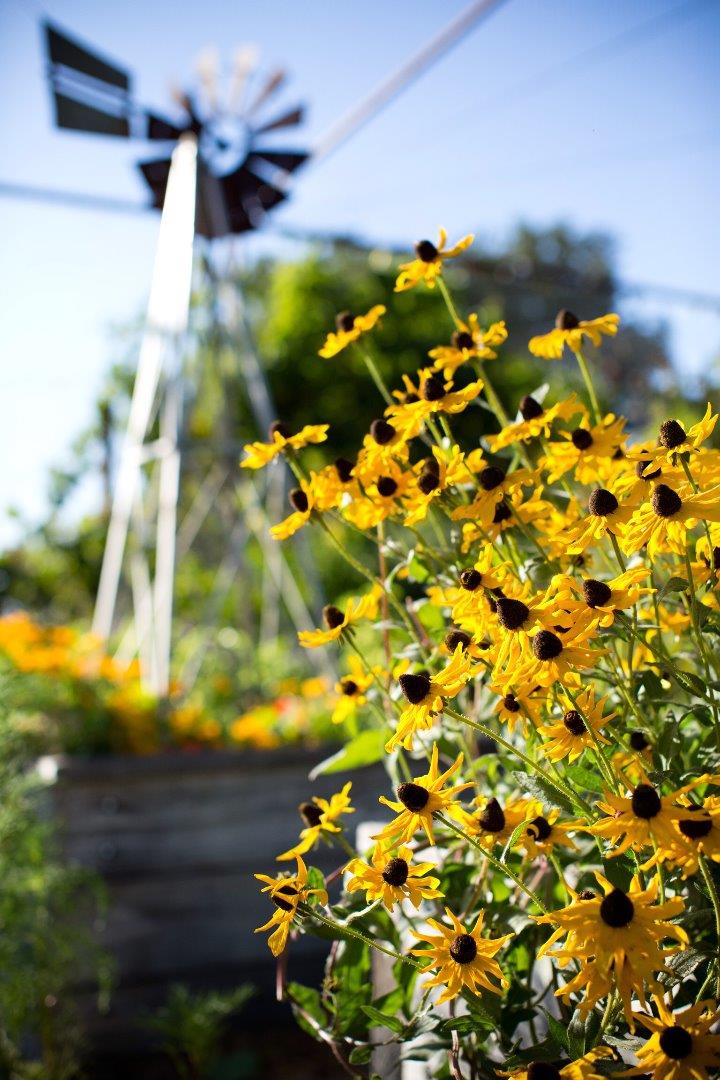 12950 Robleda Road Los Altos Hills, CA 94022 - Photo 37 of 39
