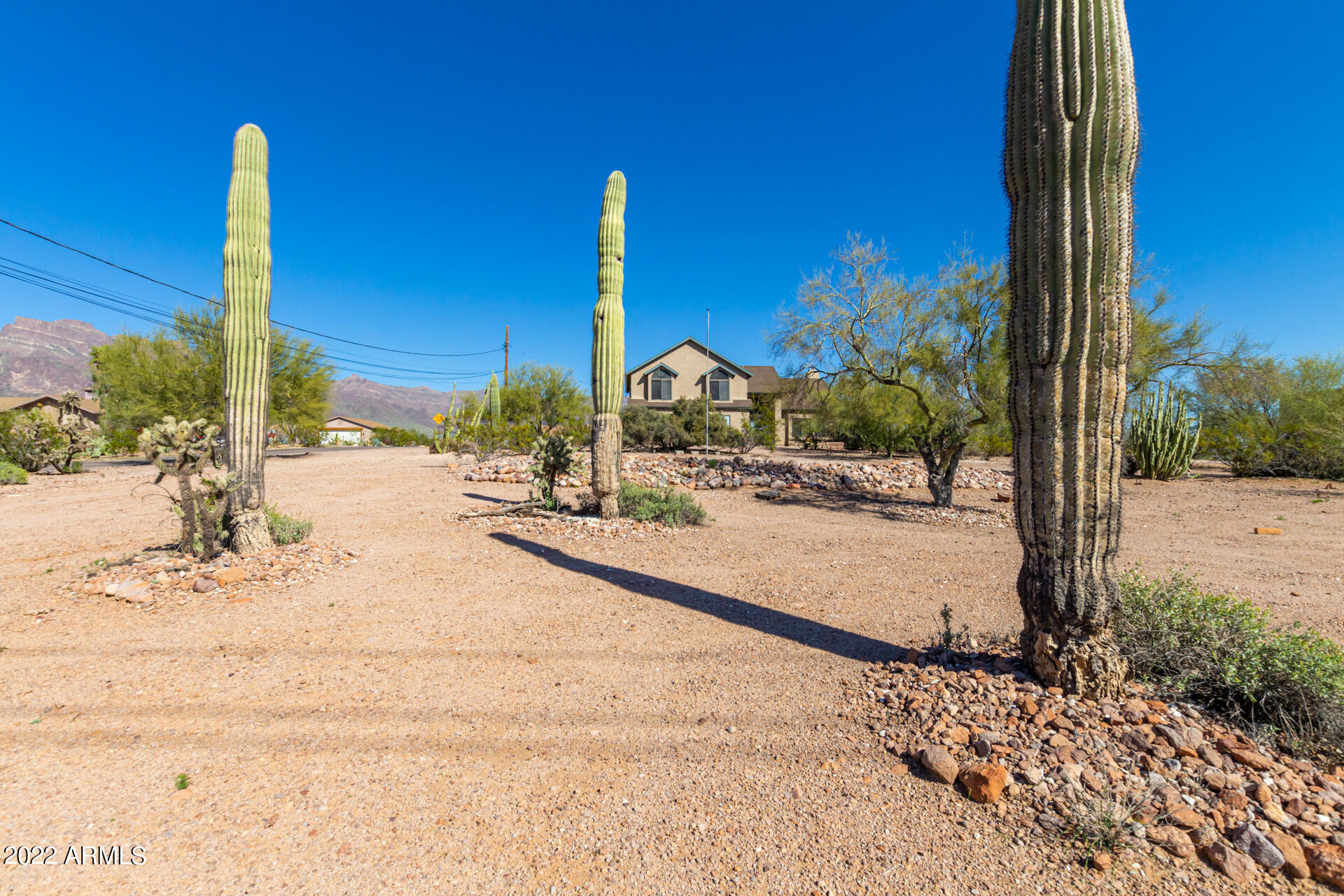 1615 South Mountain View Road Apache Junction, AZ 85119 - Photo 2 of 50 01 - Mountain View