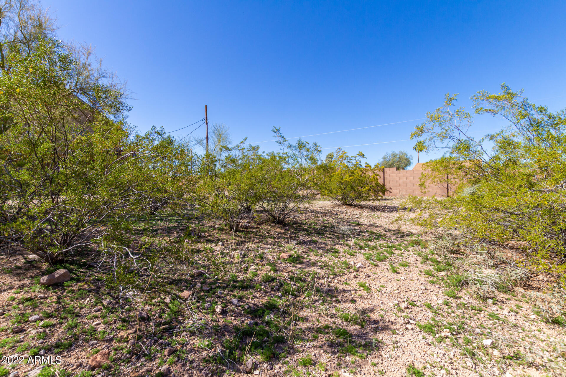 1615 South Mountain View Road Apache Junction, AZ 85119 - Photo 8 of 50 06 - Mountain View