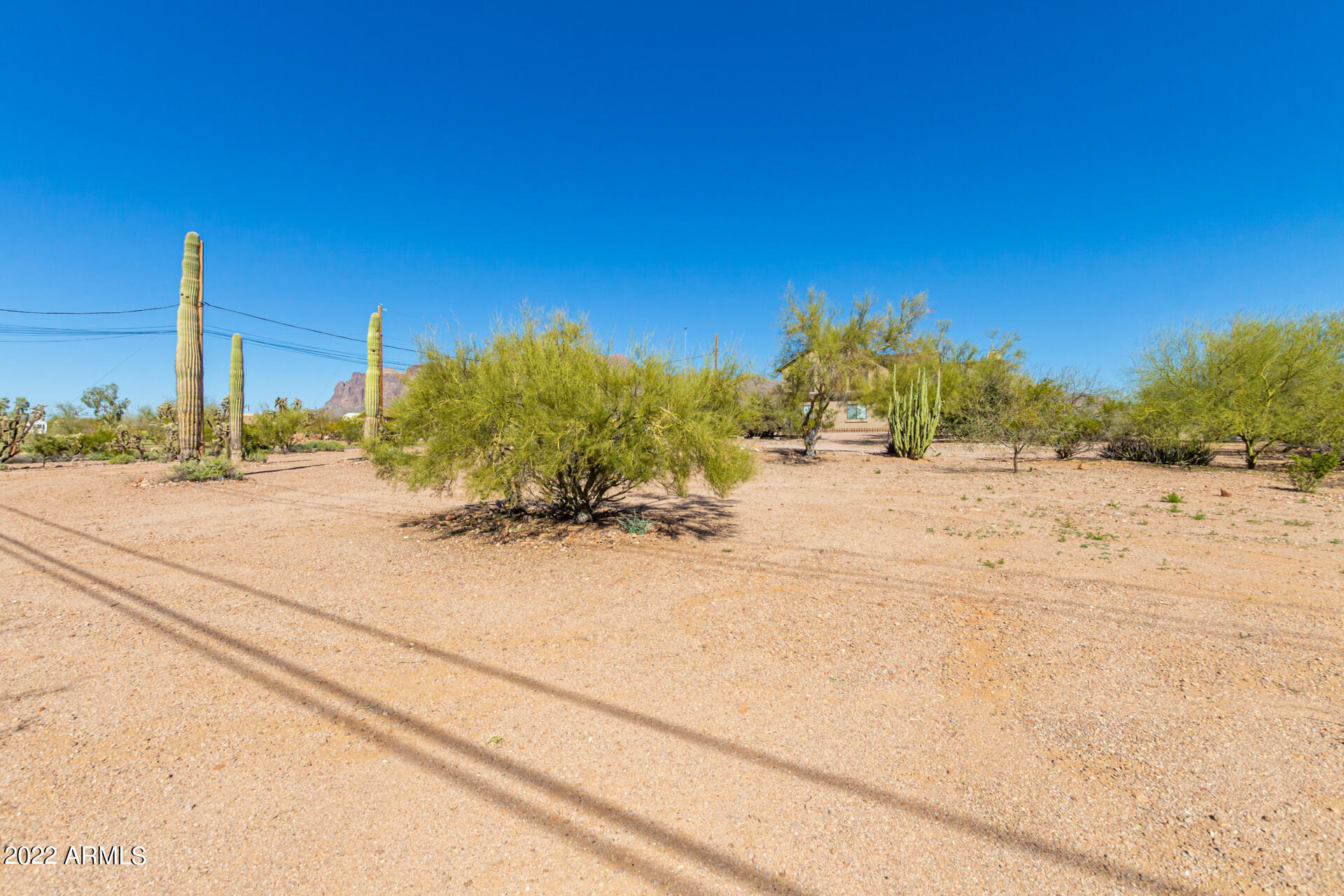 1615 South Mountain View Road Apache Junction, AZ 85119 - Photo 9 of 50 07 - Mountain View