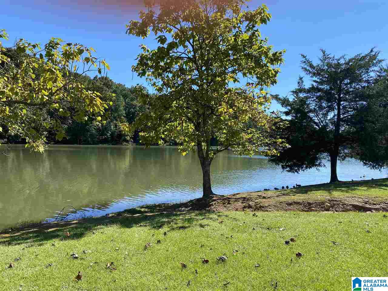 6194 Canterbury Road Pinson, AL 35126 - Photo 50 of 50 Gallery Image 50