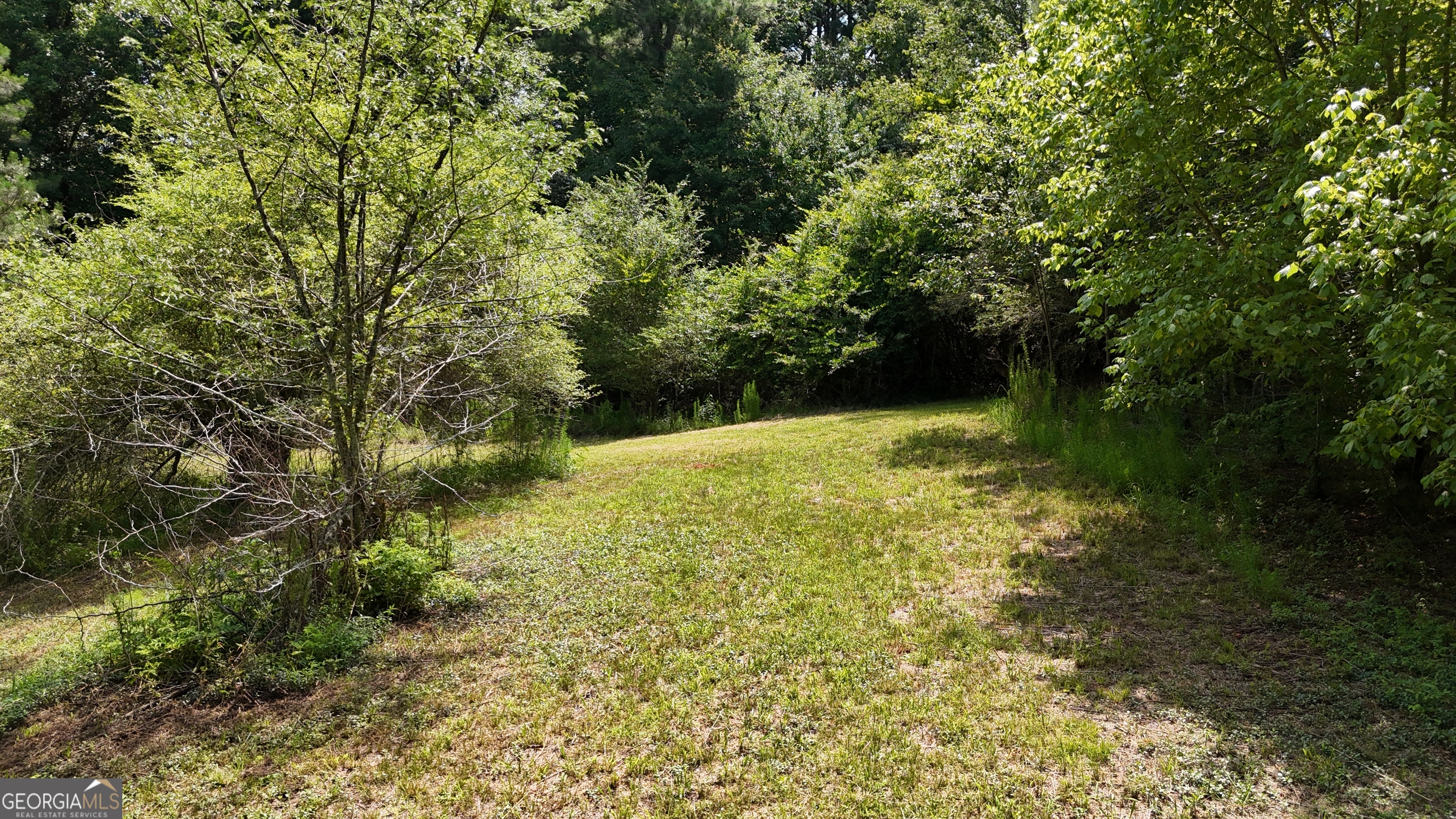 3729 Duncan Bridge Road Southwest Cornelia, GA 30531 - Photo 44 of 63