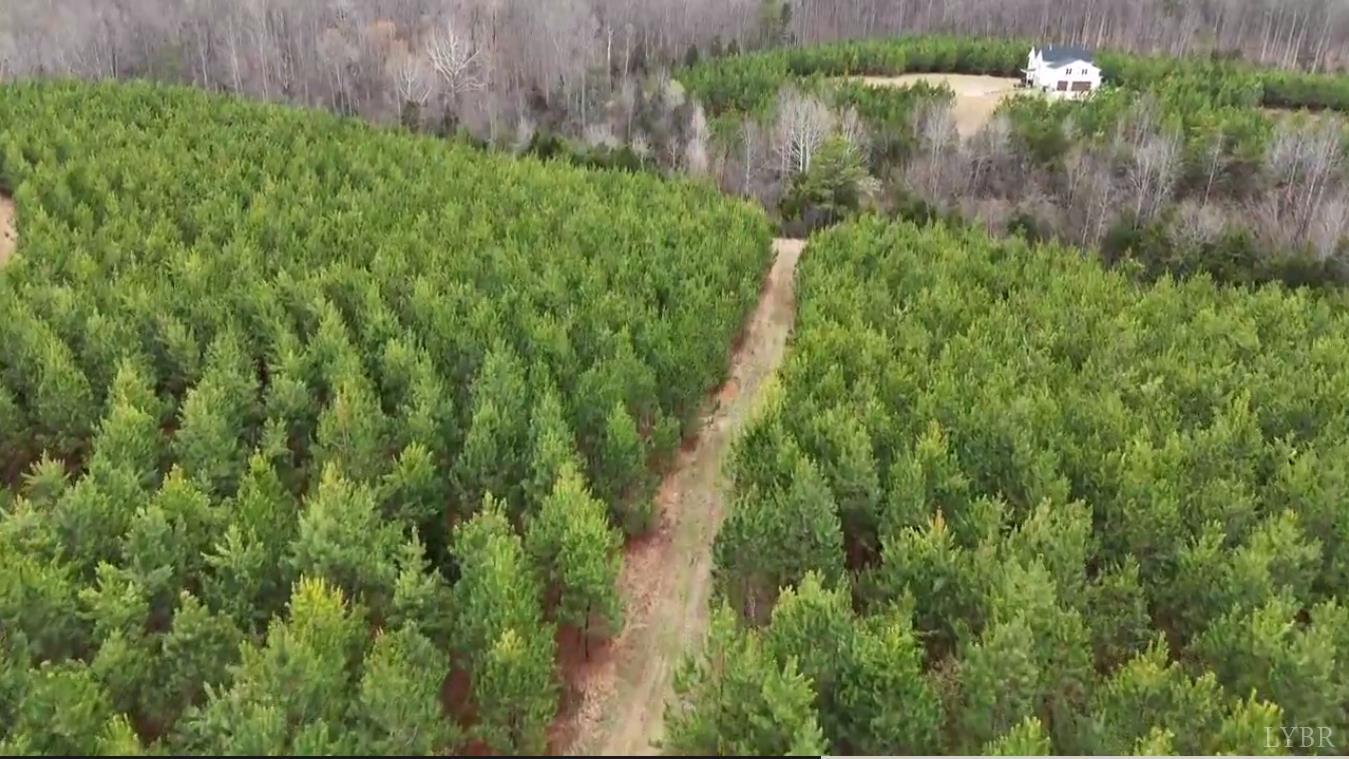 0 Old Courthouse Road Appomattox, VA 24522 - Photo 13 of 55 a view of a garden with a lake