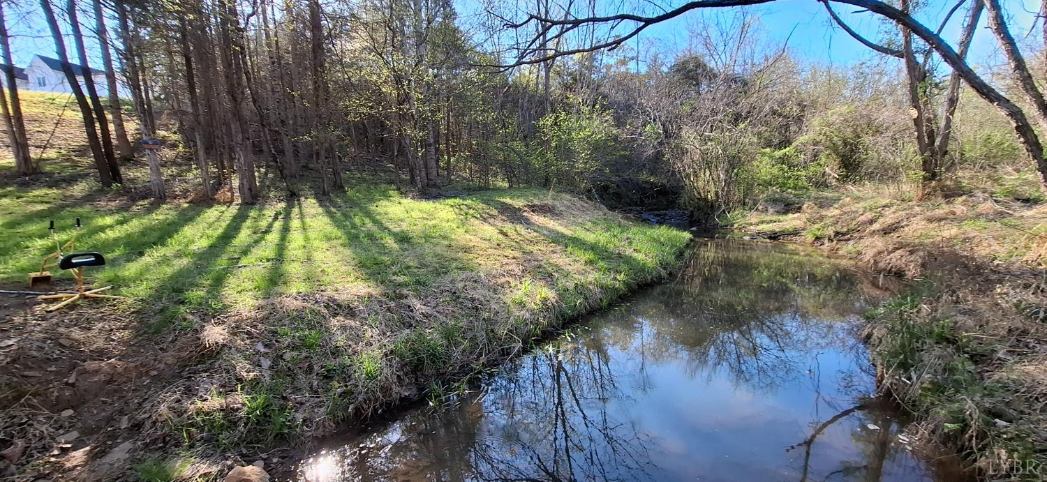 0 Old Courthouse Road Appomattox, VA 24522 - Photo 19 of 55 a view of yard along with trees