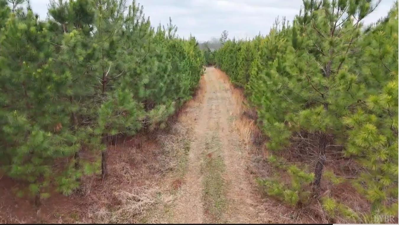 0 Old Courthouse Road Appomattox, VA 24522 - Photo 20 of 55 a view of a pathway both side of yard