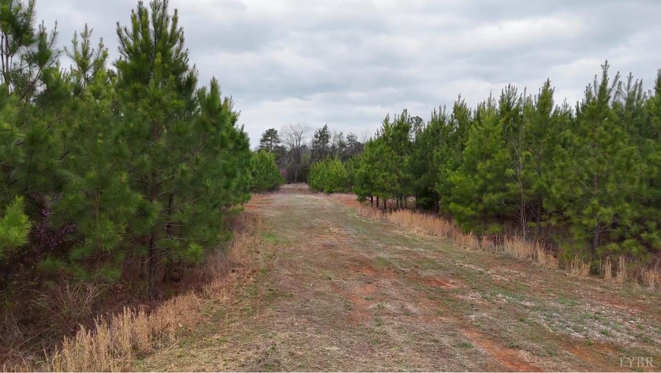 0 Old Courthouse Road Appomattox, VA 24522 - Photo 22 of 55