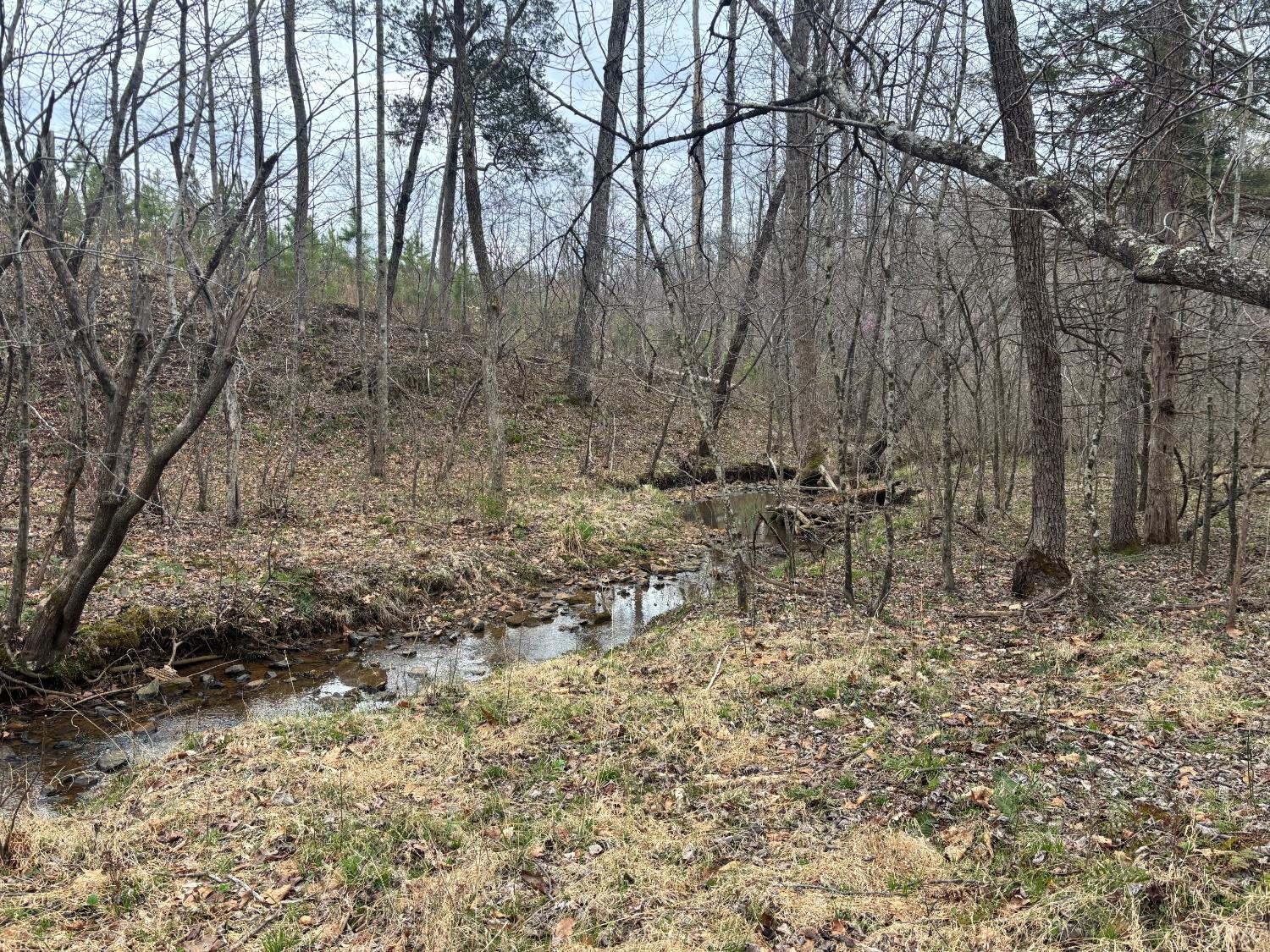 0 Old Courthouse Road Appomattox, VA 24522 - Photo 25 of 55 a backyard of a house with lots of green space