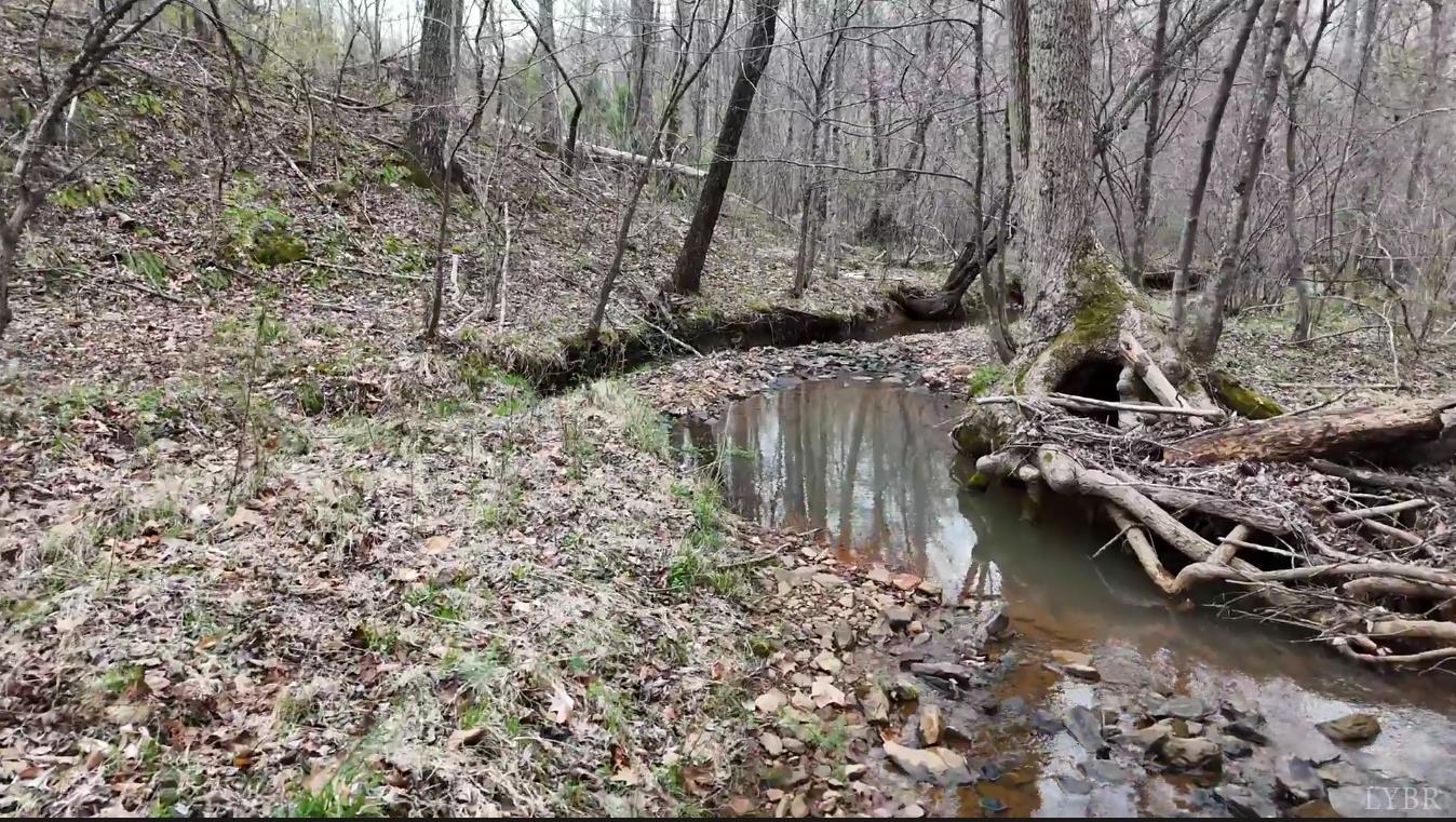 0 Old Courthouse Road Appomattox, VA 24522 - Photo 27 of 55 a view of swimming pool with lawn chairs
