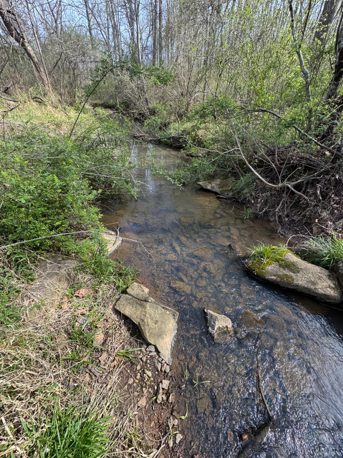 0 Old Courthouse Road Appomattox, VA 24522 - Photo 31 of 55 a backyard of a house with lots of green space