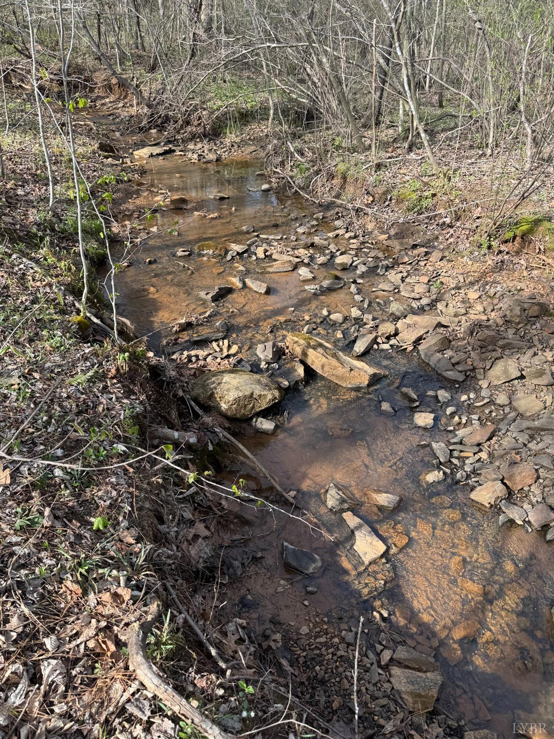 0 Old Courthouse Road Appomattox, VA 24522 - Photo 34 of 55