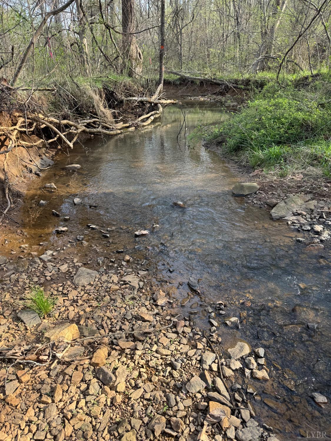 0 Old Courthouse Road Appomattox, VA 24522 - Photo 35 of 55 a view of water with water fall