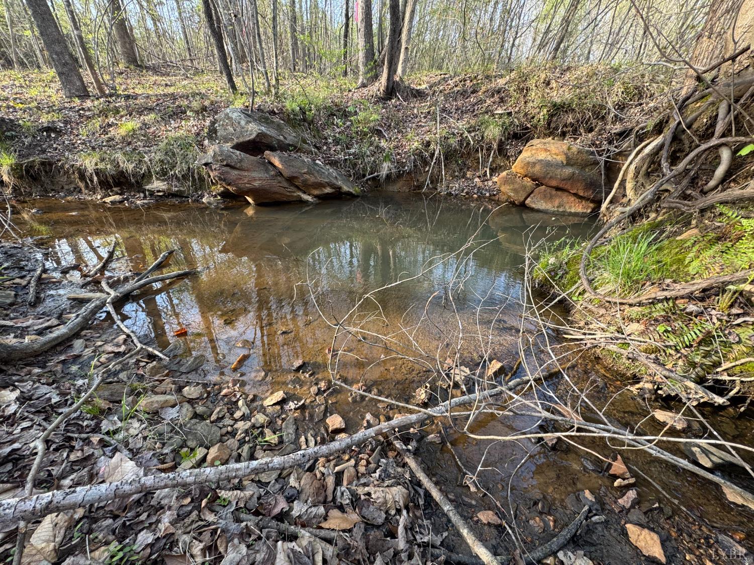 0 Old Courthouse Road Appomattox, VA 24522 - Photo 43 of 55 a view of lake