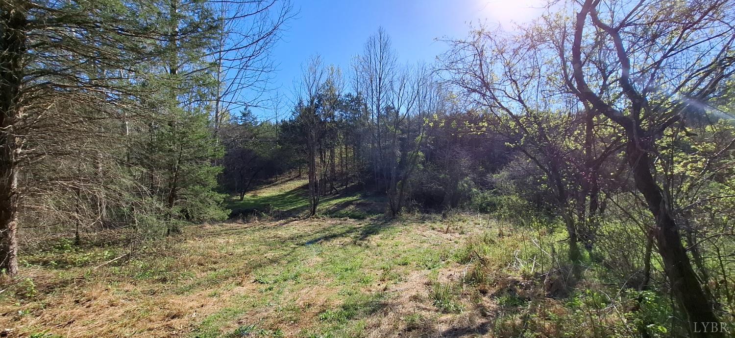 0 Old Courthouse Road Appomattox, VA 24522 - Photo 50 of 55 a backyard of a house with lots of green space