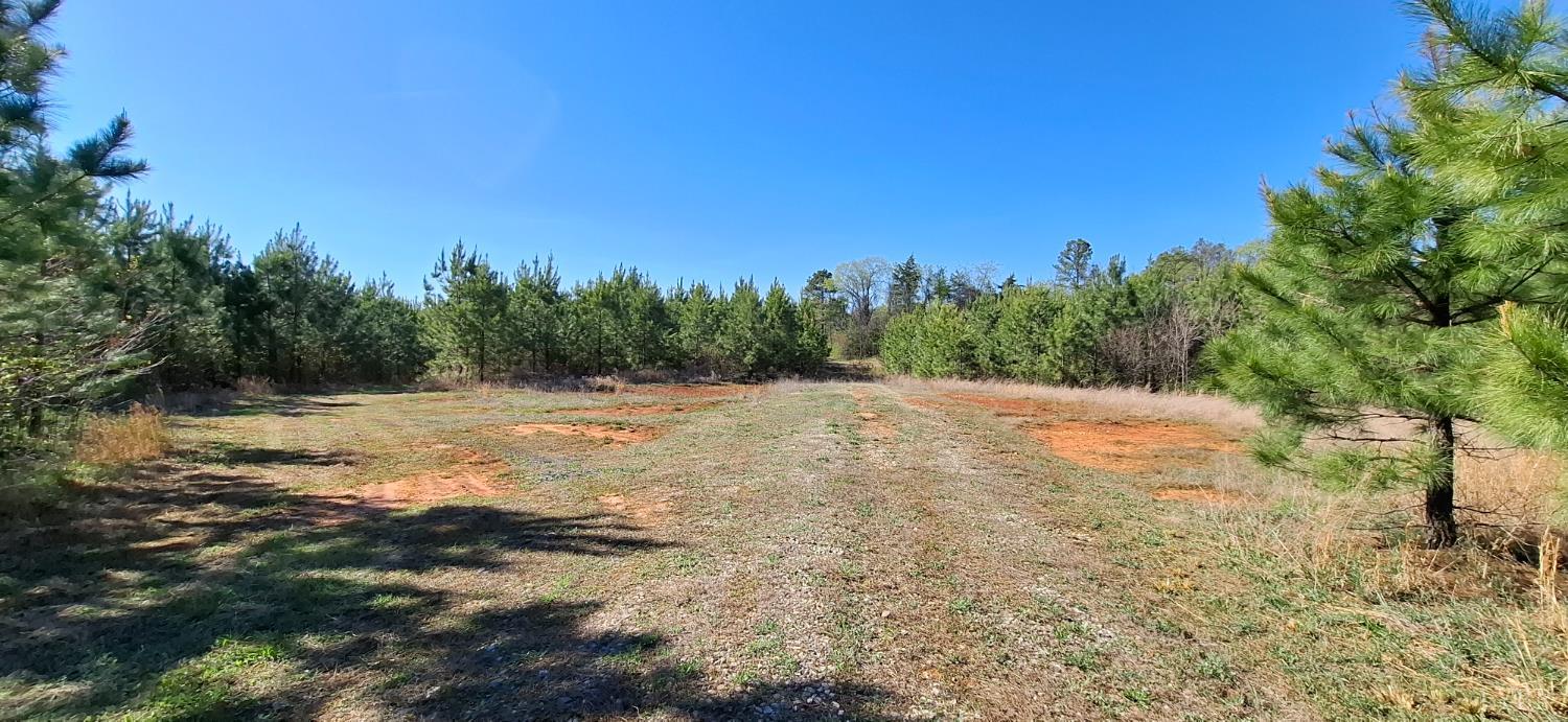 0 Old Courthouse Road Appomattox, VA 24522 - Photo 51 of 55 a view of a field with trees in the background