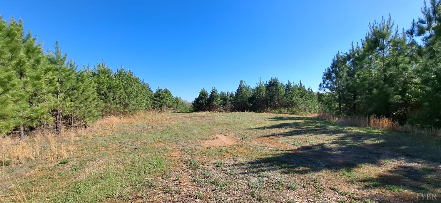 0 Old Courthouse Road Appomattox, VA 24522 - Photo 52 of 55 a view of dirt yard with mountain view