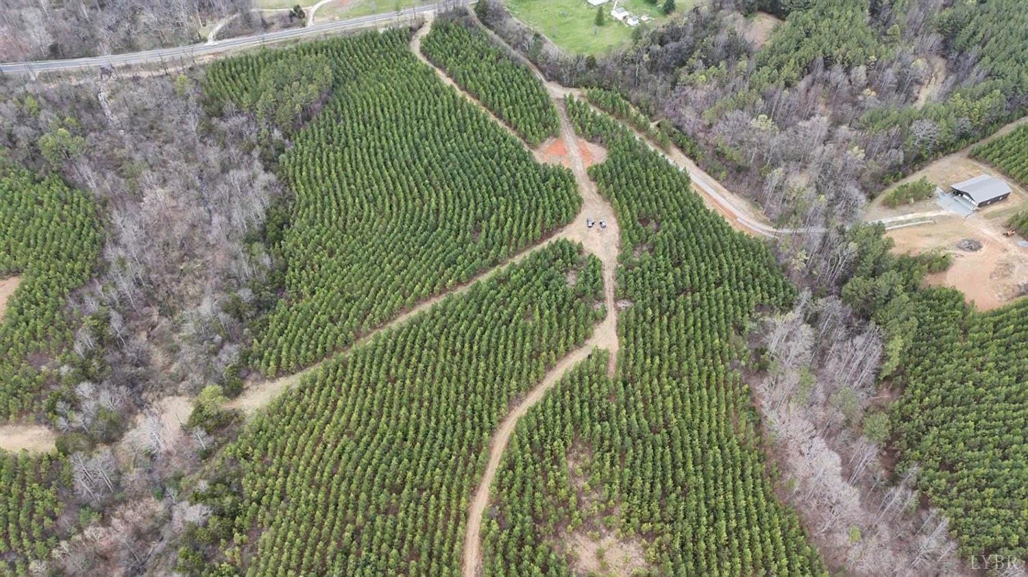0 Old Courthouse Road Appomattox, VA 24522 - Photo 6 of 55 a green field with lots of trees in the background