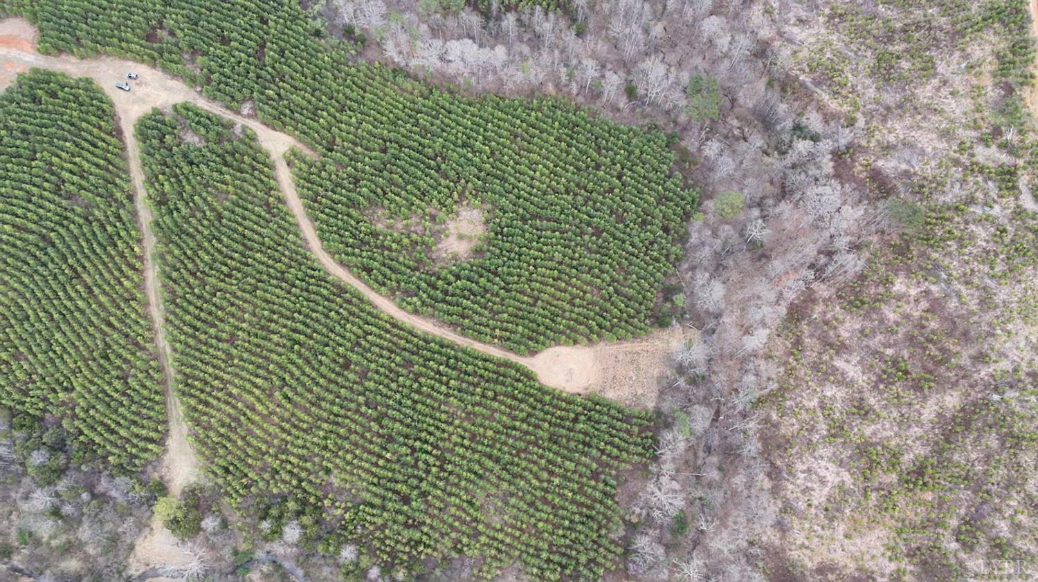 0 Old Courthouse Road Appomattox, VA 24522 - Photo 8 of 55 a view of a green yard