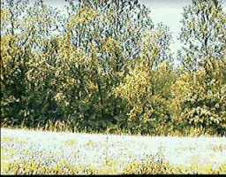 4 Long Run Road Louisville, KY 40245 - Photo 1 of 1 Primary Photo