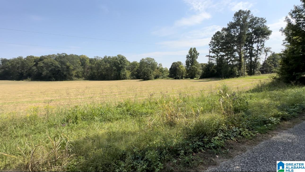 0 Rock School Road Harpersville, AL 35078 - Photo 9 of 15