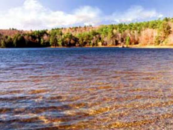 0 Off Center Pond Road Stoddard, NH 03464 - Photo 1 of 2