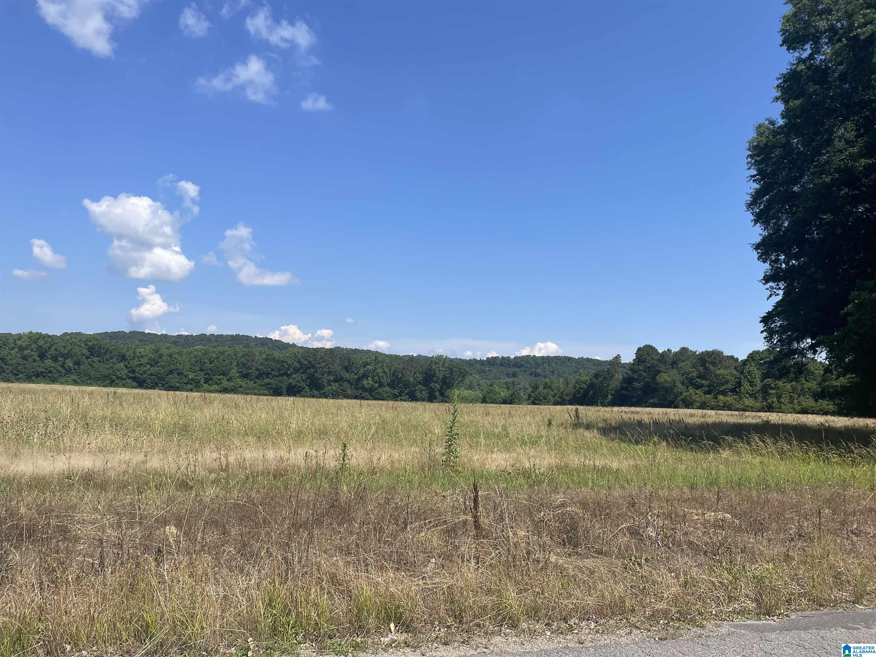 65 Kudzu Road, Unit 40 Oneonta, AL 35121 - Photo 4 of 12 Gallery Image 4