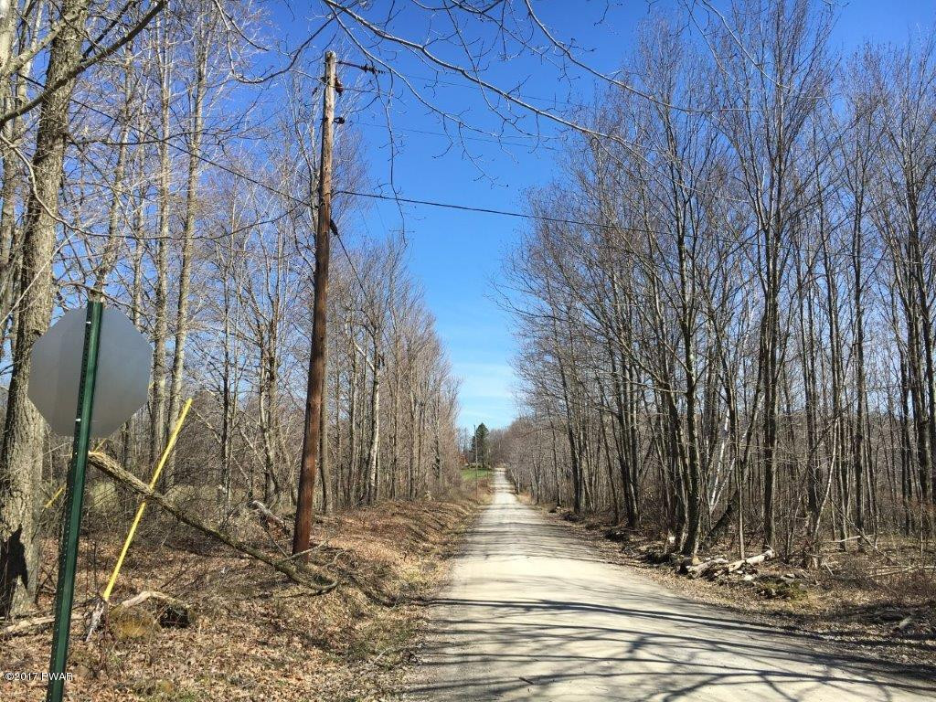 Lot L5 Sickler Pond Road Carbondale, PA 18407 - Photo 4 of 5