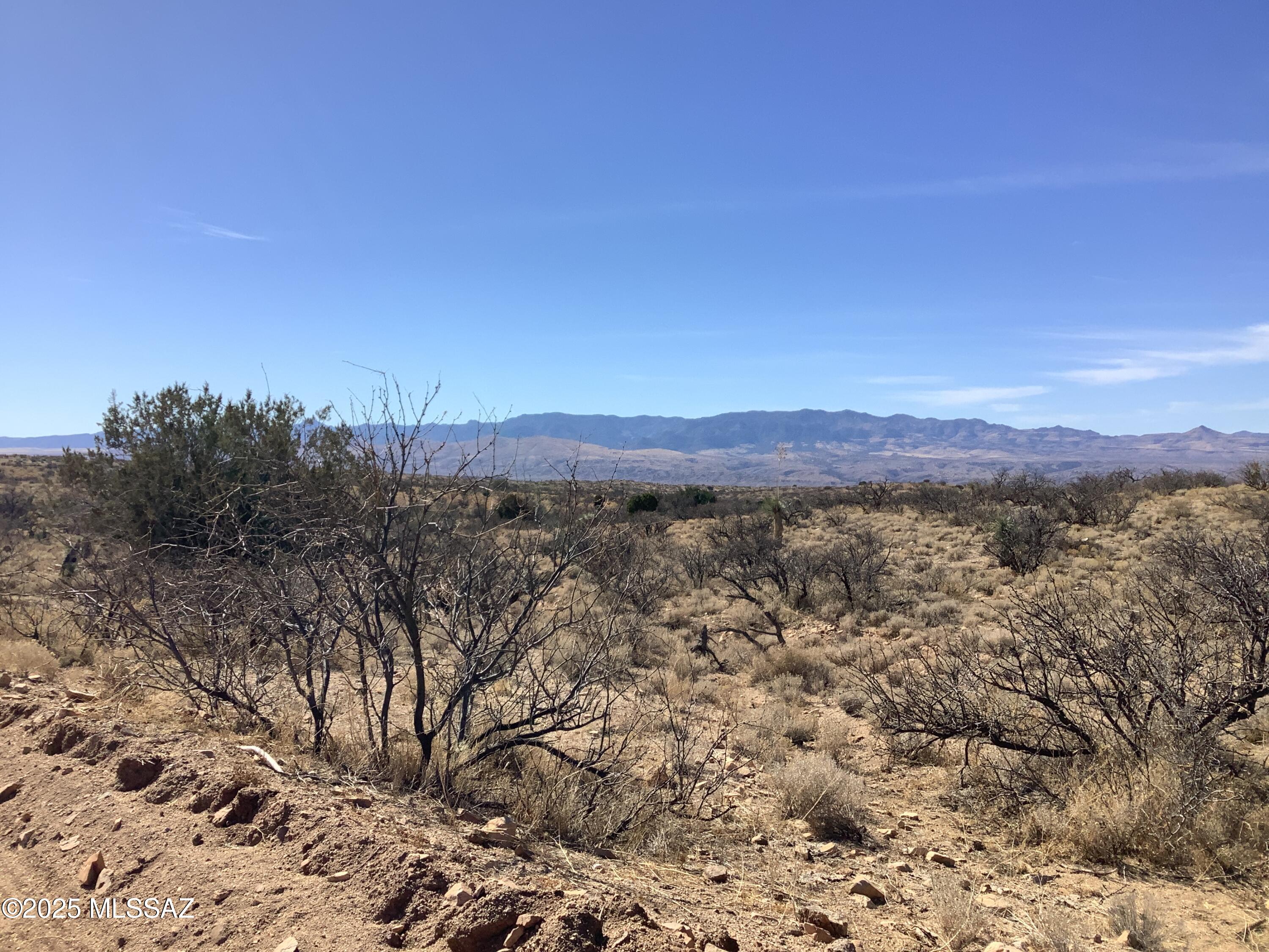 37.21-ac West Sheepwash Road, Unit 254 Willcox, AZ 85643 - Photo 8 of 37